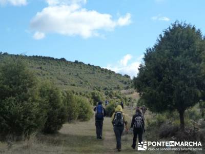 Senda Genaro - GR 300 - Embalse de El Atazar